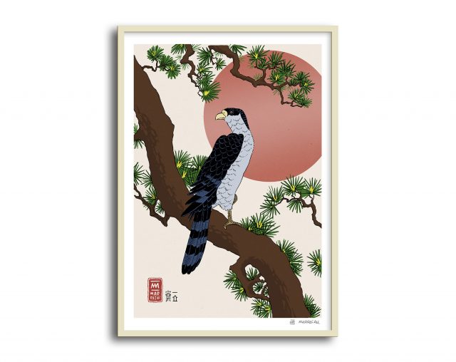 Lámina con la ilustración de un Halcón sobre una rama de pino - Versión de la estampa japonesa o ukiyo e de Hiroshige